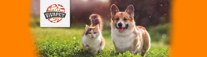 vivapet kategorieeinstiegsbanner